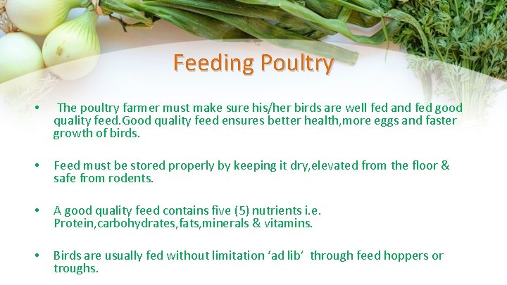 Feeding Poultry • The poultry farmer must make sure his/her birds are well fed