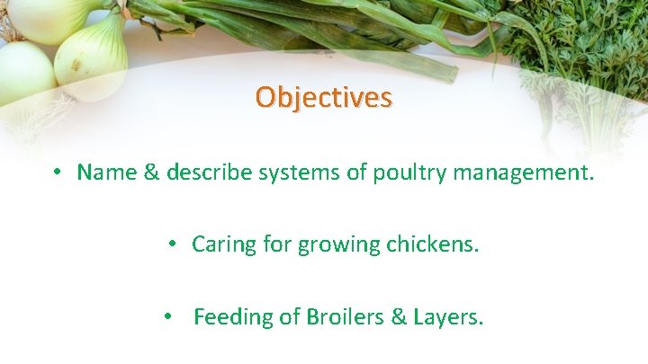 Objectives • Name & describe systems of poultry management. • Caring for growing chickens.