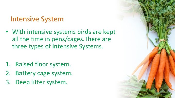 Intensive System • With intensive systems birds are kept all the time in pens/cages.