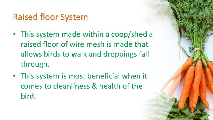 Raised floor System • This system made within a coop/shed a raised floor of