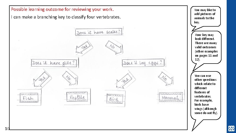 Possible learning outcome for reviewing your work. I can make a branching key to Possible learning outcome for reviewing your work. I can make a branching key to