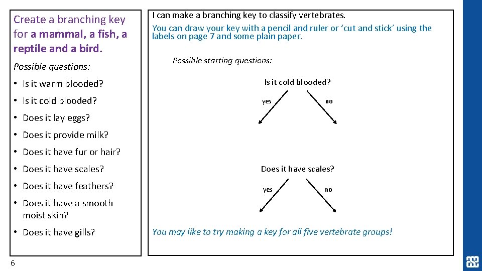 Create a branching key for a mammal, a fish, a reptile and a bird. Create a branching key for a mammal, a fish, a reptile and a bird.
