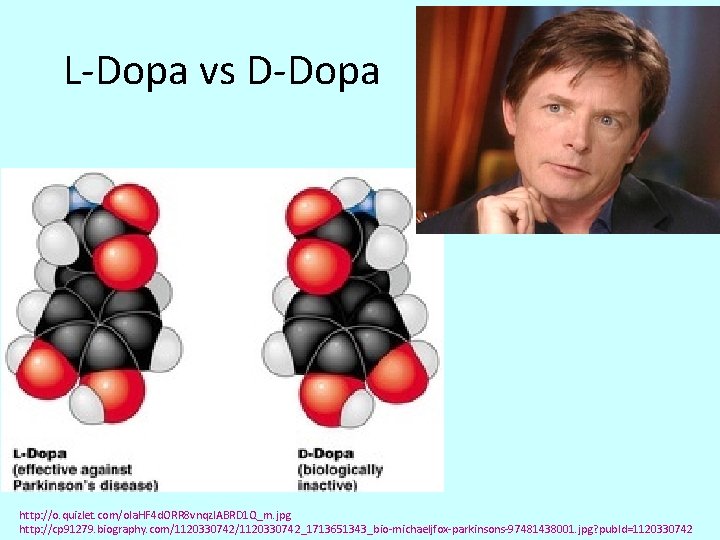L-Dopa vs D-Dopa http: //o. quizlet. com/ola. HF 4 d. ORR 8 vnqz. IABRD