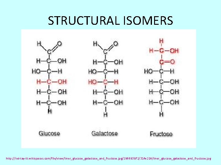 STRUCTURAL ISOMERS http: //kel-tay-lii. wikispaces. com/file/view/liner_glucose_galactose_and_fructose. jpg/296693972/314 x 214/liner_glucose_galactose_and_fructose. jpg 
