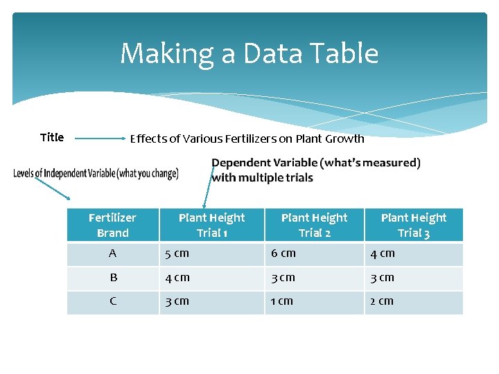 Making a Data Table Title Effects of Various Fertilizers on Plant Growth Fertilizer Brand