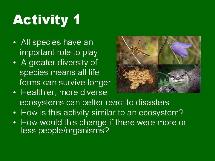 Activity 1 • All species have an important role to play • A greater
