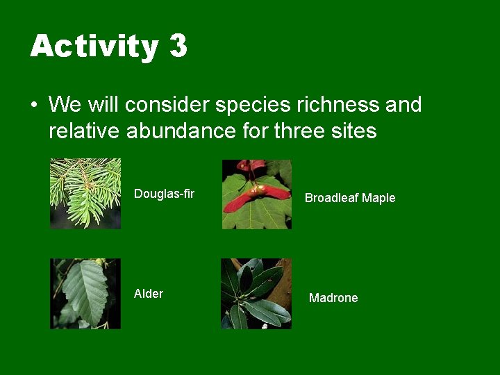 Activity 3 • We will consider species richness and relative abundance for three sites