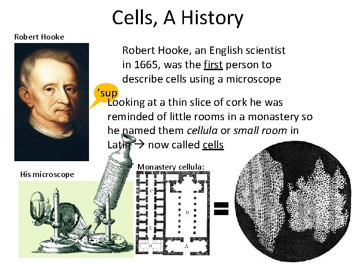 Cells, A History Robert Hooke, an English scientist in 1665, was the first person