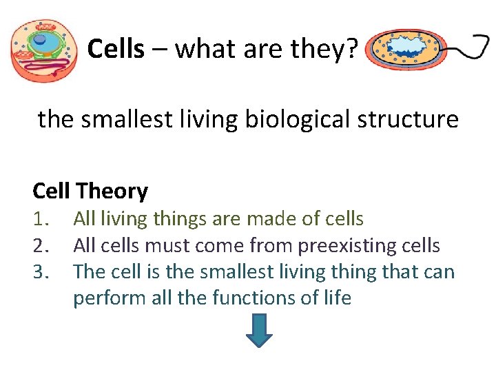 Cells – what are they? the smallest living biological structure Cell Theory 1. 2.