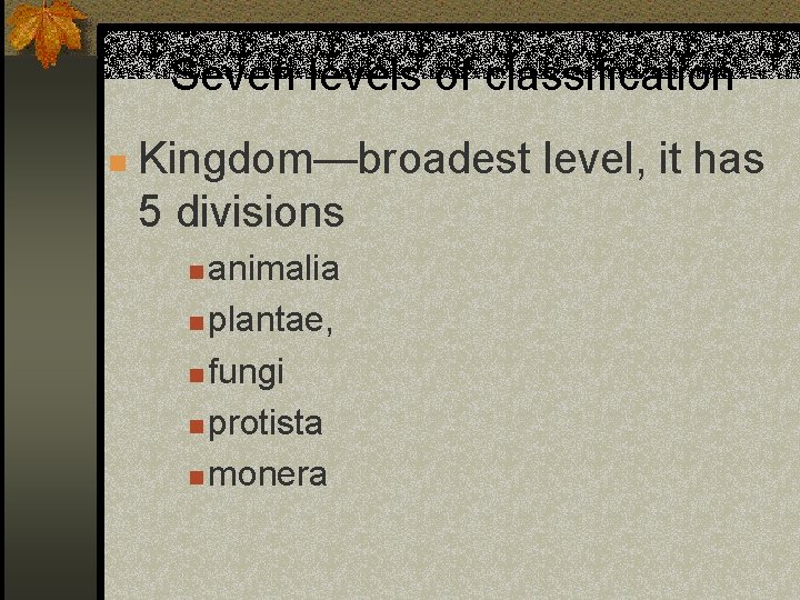 Seven levels of classification n Kingdom—broadest level, it has 5 divisions animalia n plantae,