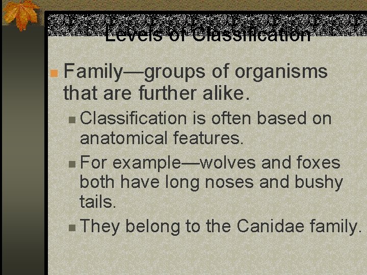 Levels of Classification n Family—groups of organisms that are further alike. Classification is often