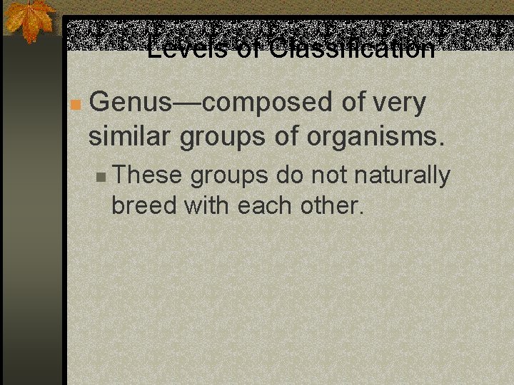Levels of Classification n Genus—composed of very similar groups of organisms. n These groups