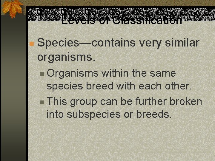 Levels of Classification n Species—contains very similar organisms. Organisms within the same species breed