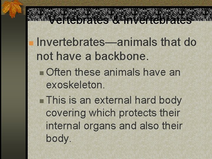 Vertebrates & Invertebrates n Invertebrates—animals that do not have a backbone. Often these animals