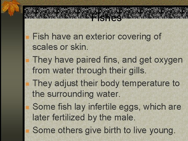 Fishes n n n Fish have an exterior covering of scales or skin. They