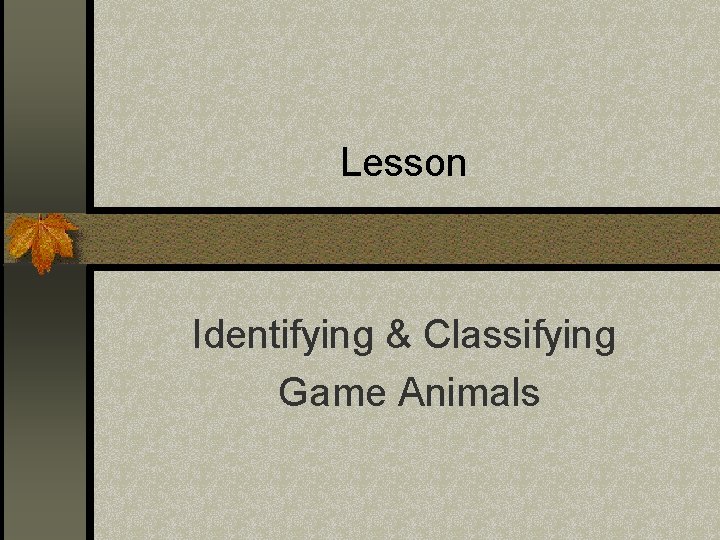 Lesson Identifying & Classifying Game Animals 