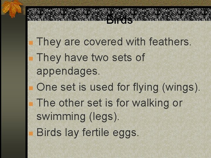 Birds They are covered with feathers. n They have two sets of appendages. n