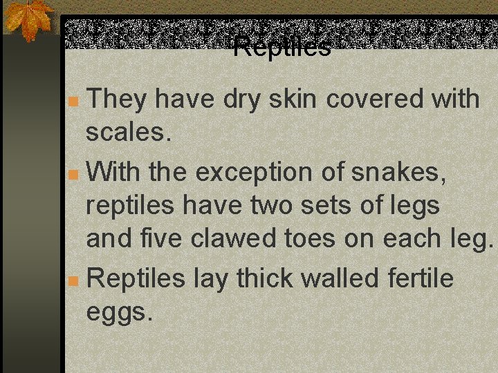 Reptiles They have dry skin covered with scales. n With the exception of snakes,