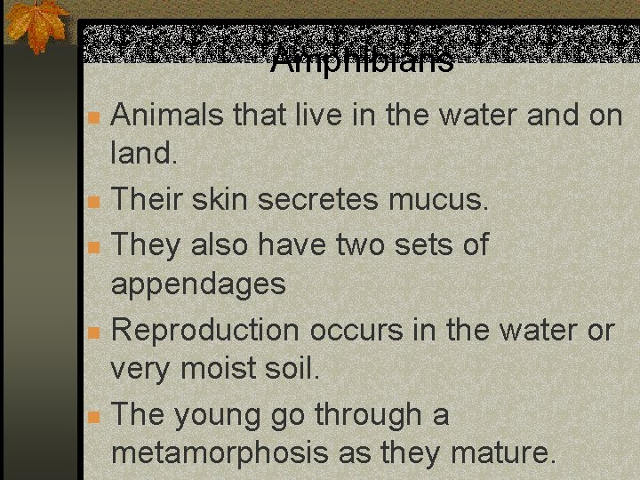 Amphibians Animals that live in the water and on land. n Their skin secretes