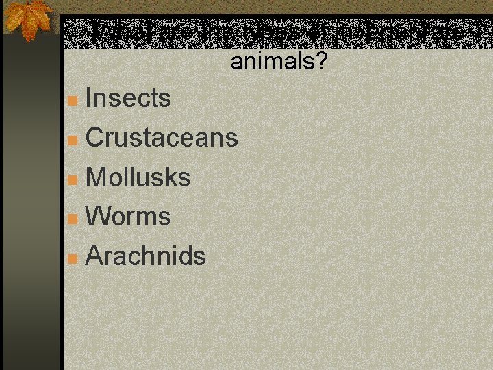 What are the types of invertebrate animals? Insects n Crustaceans n Mollusks n Worms