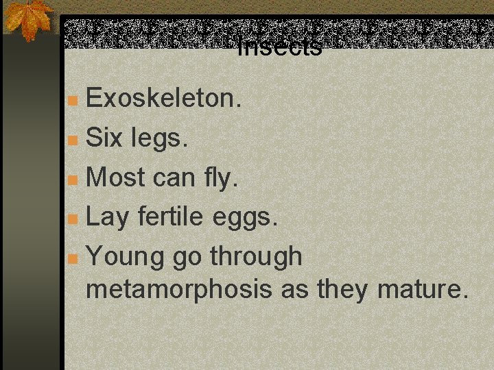 Insects Exoskeleton. n Six legs. n Most can fly. n Lay fertile eggs. n
