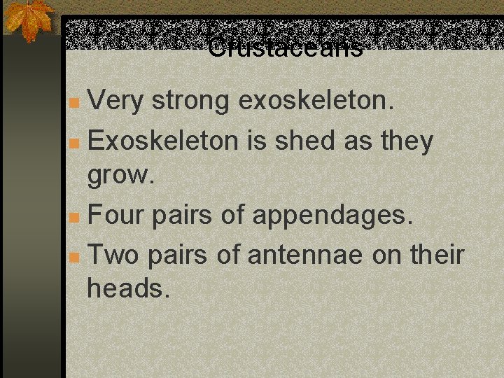 Crustaceans Very strong exoskeleton. n Exoskeleton is shed as they grow. n Four pairs