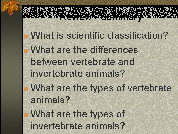 Review / Summary What is scientific classification? n What are the differences between vertebrate