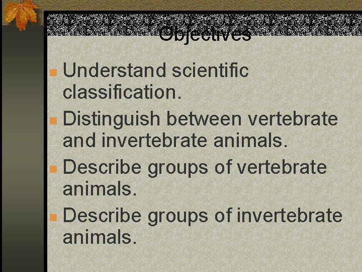 Objectives Understand scientific classification. n Distinguish between vertebrate and invertebrate animals. n Describe groups