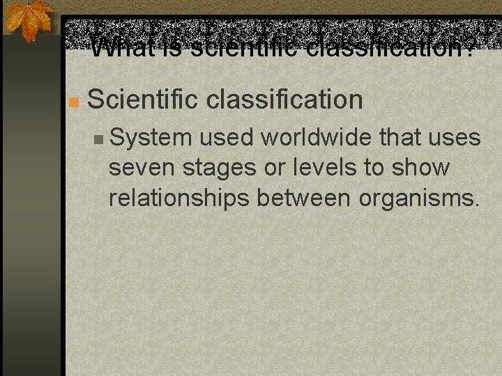 What is scientific classification? n Scientific classification n System used worldwide that uses seven