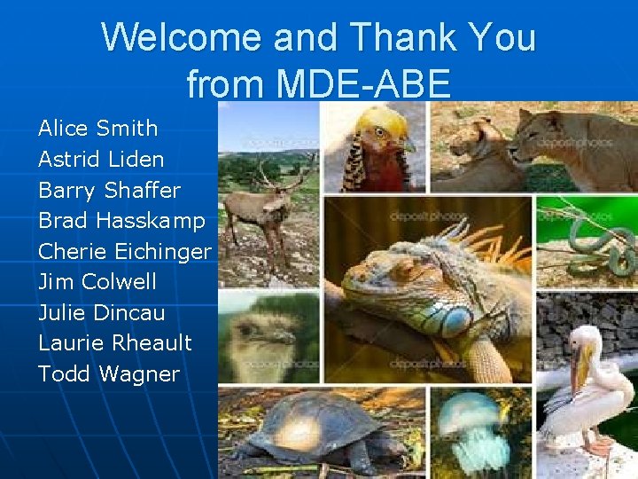 Welcome and Thank You from MDE-ABE Alice Smith Astrid Liden Barry Shaffer Brad Hasskamp