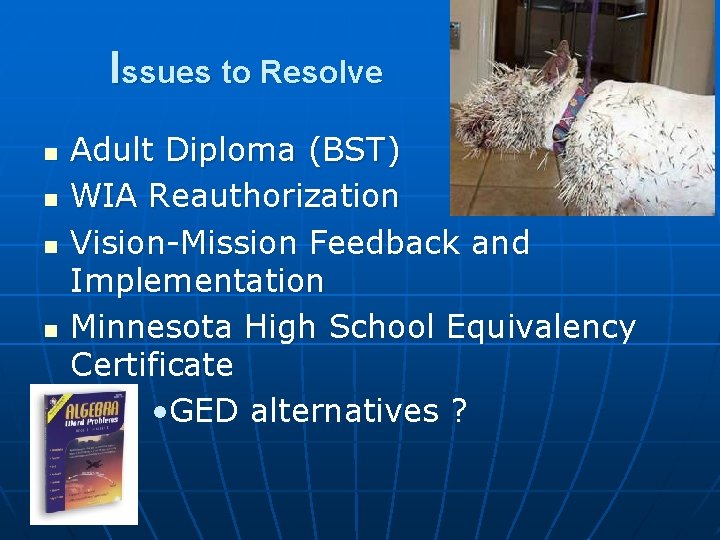 Issues to Resolve n n Adult Diploma (BST) WIA Reauthorization Vision-Mission Feedback and Implementation