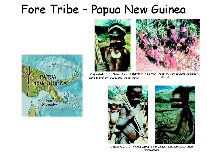 Fore Tribe – Papua New Guinea Reid Phil. Trans. R. Soc. B 2008; 363: