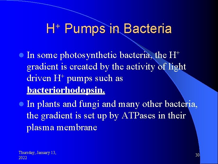 H+ Pumps in Bacteria l In some photosynthetic bacteria, the H+ gradient is created