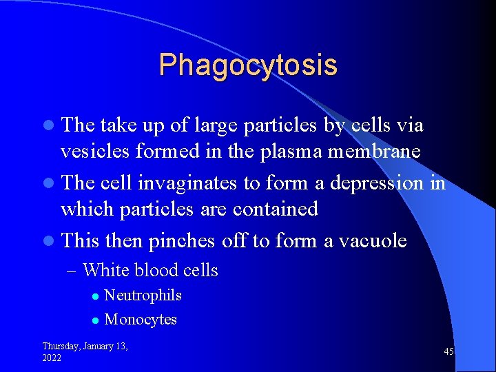 Phagocytosis l The take up of large particles by cells via vesicles formed in