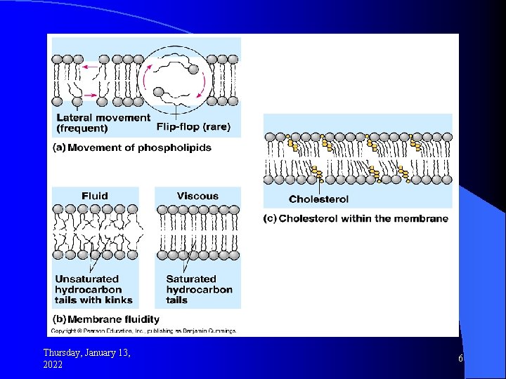 Thursday, January 13, 2022 6 