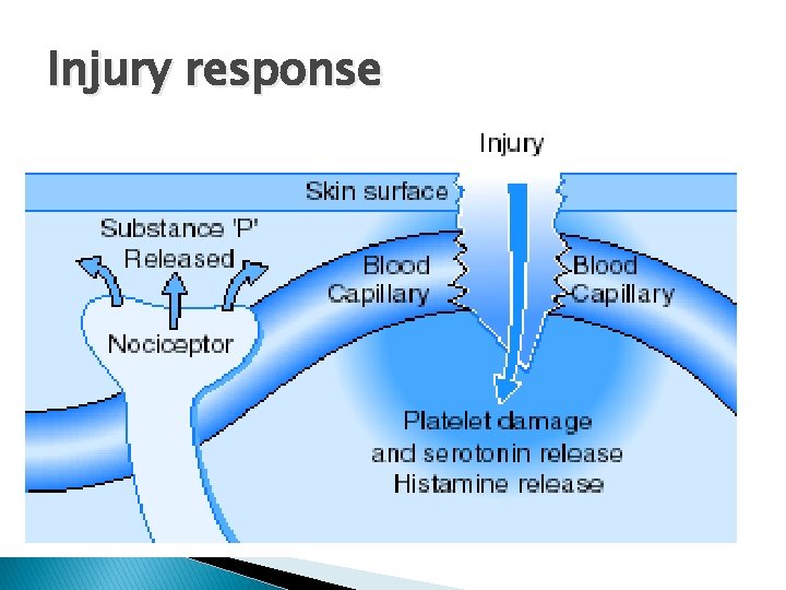 Injury response 
