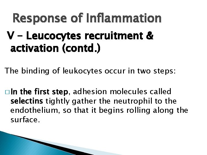 Response of Inflammation V - Leucocytes recruitment & activation (contd. ) The binding of