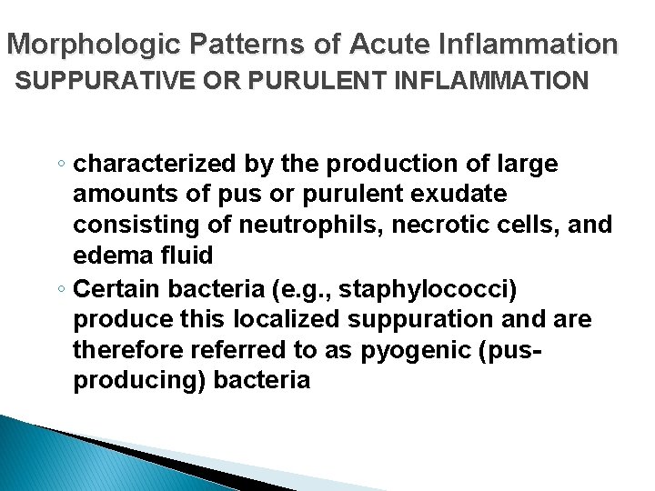 Morphologic Patterns of Acute Inflammation SUPPURATIVE OR PURULENT INFLAMMATION ◦ characterized by the production