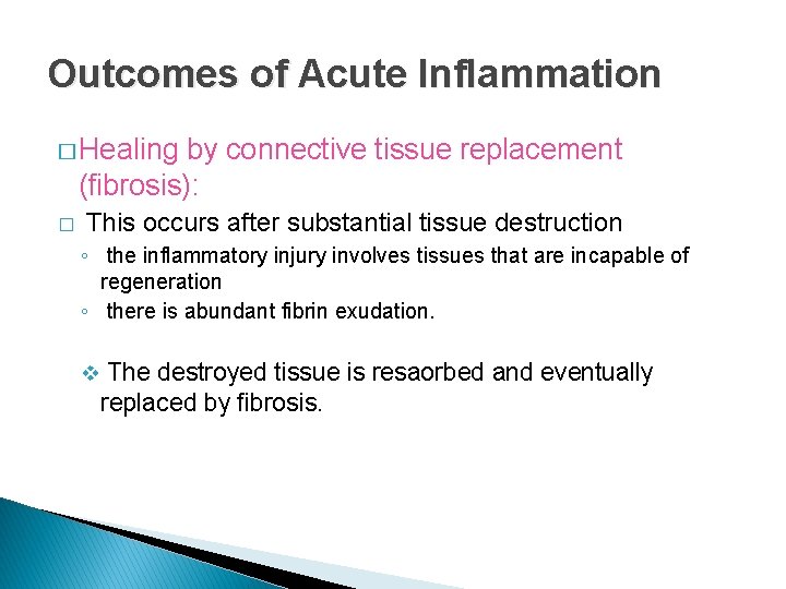 Outcomes of Acute Inflammation � Healing by connective tissue replacement (fibrosis): � This occurs