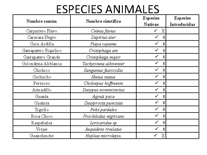 ESPECIES ANIMALES Nombre común Nombre cientifico Carpintero Flavo Caracara Negro Cucu Ardilla Garrapatero Piquiliso