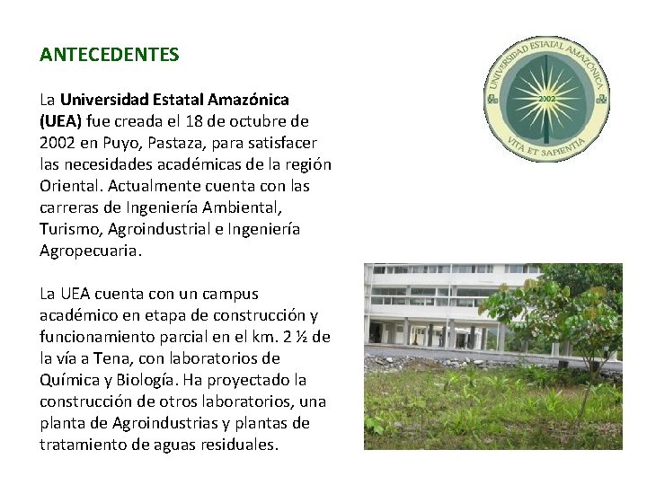 ANTECEDENTES La Universidad Estatal Amazónica (UEA) fue creada el 18 de octubre de 2002