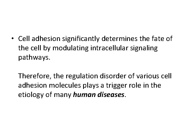  • Cell adhesion significantly determines the fate of the cell by modulating intracellular