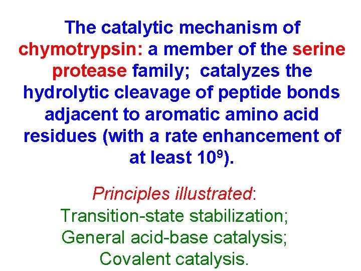 The catalytic mechanism of chymotrypsin: a member of the serine protease family; catalyzes the