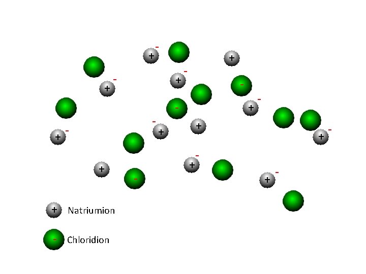 + + + - - + + Natriumion - Chloridion - + - -
