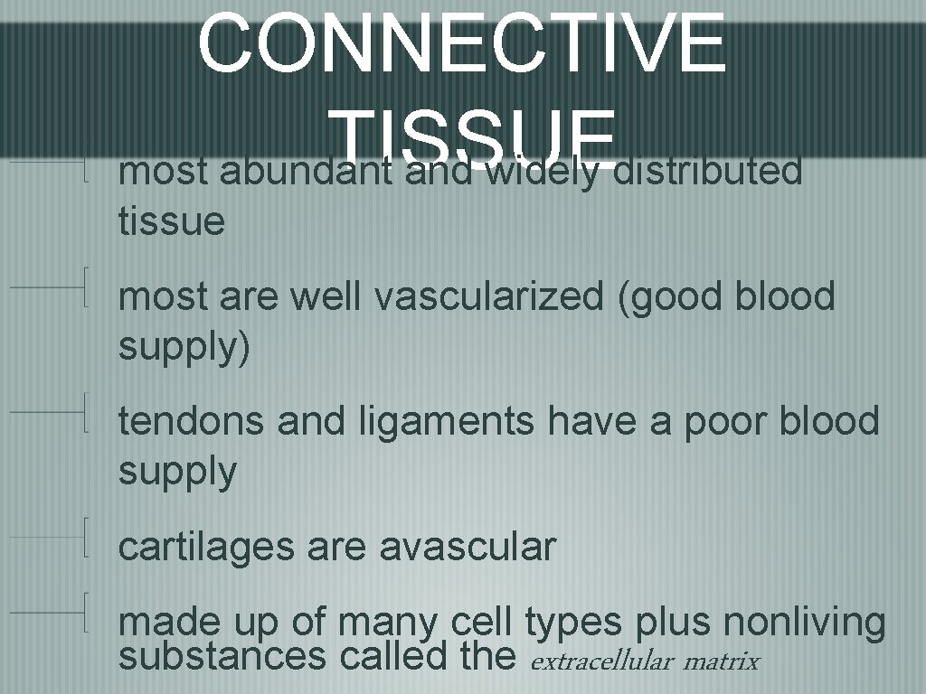 CONNECTIVE TISSUE most abundant and widely distributed tissue most are well vascularized (good blood