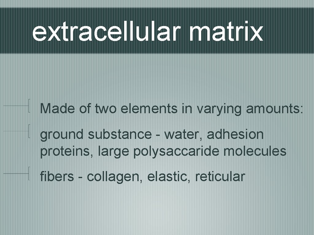 extracellular matrix Made of two elements in varying amounts: ground substance - water, adhesion
