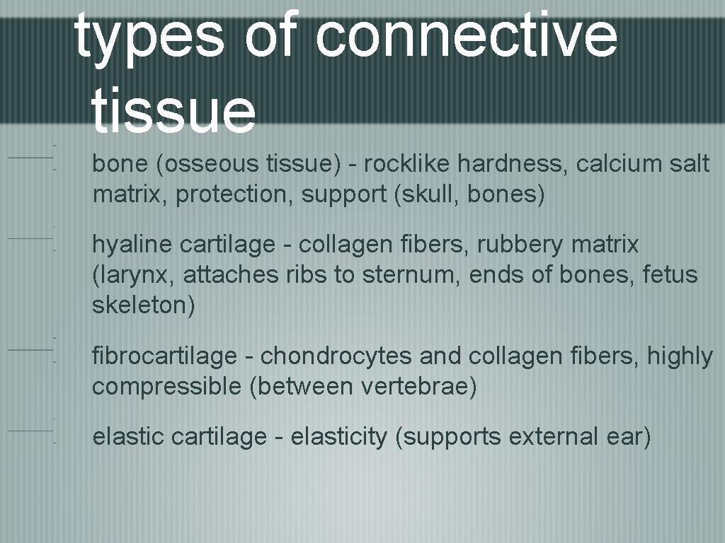 types of connective tissue bone (osseous tissue) - rocklike hardness, calcium salt matrix, protection,