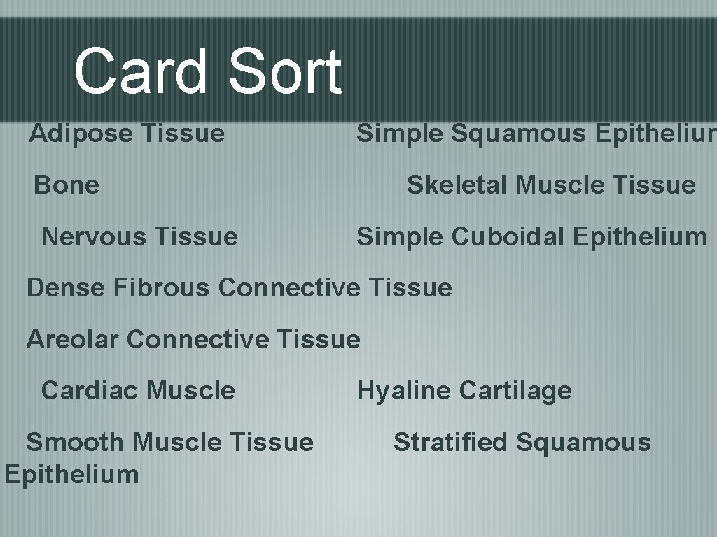 Card Sort Adipose Tissue Simple Squamous Epithelium Bone Nervous Tissue Skeletal Muscle Tissue Simple