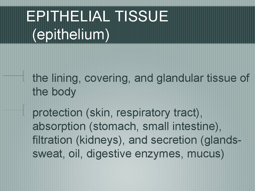 EPITHELIAL TISSUE (epithelium) the lining, covering, and glandular tissue of the body protection (skin,