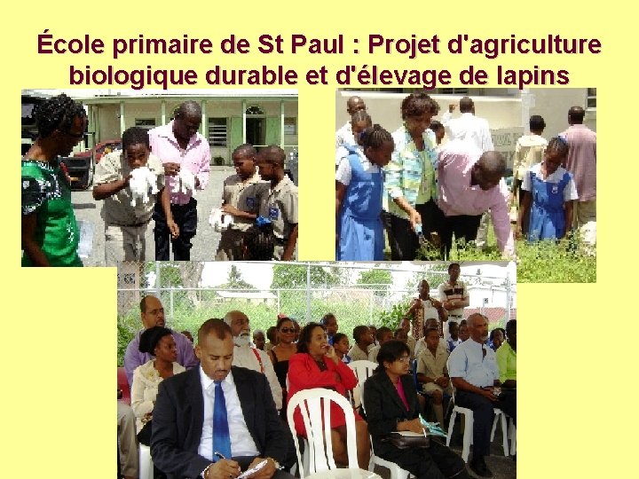École primaire de St Paul : Projet d'agriculture biologique durable et d'élevage de lapins